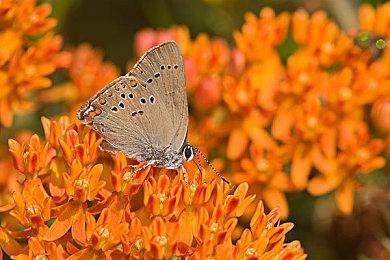 《怪物猎人崛起：曙光》新平台版今日发售