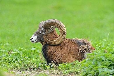 数毛社：《生化危机8》反盗版卡顿问题已经被修复 但玩家需要一个解释